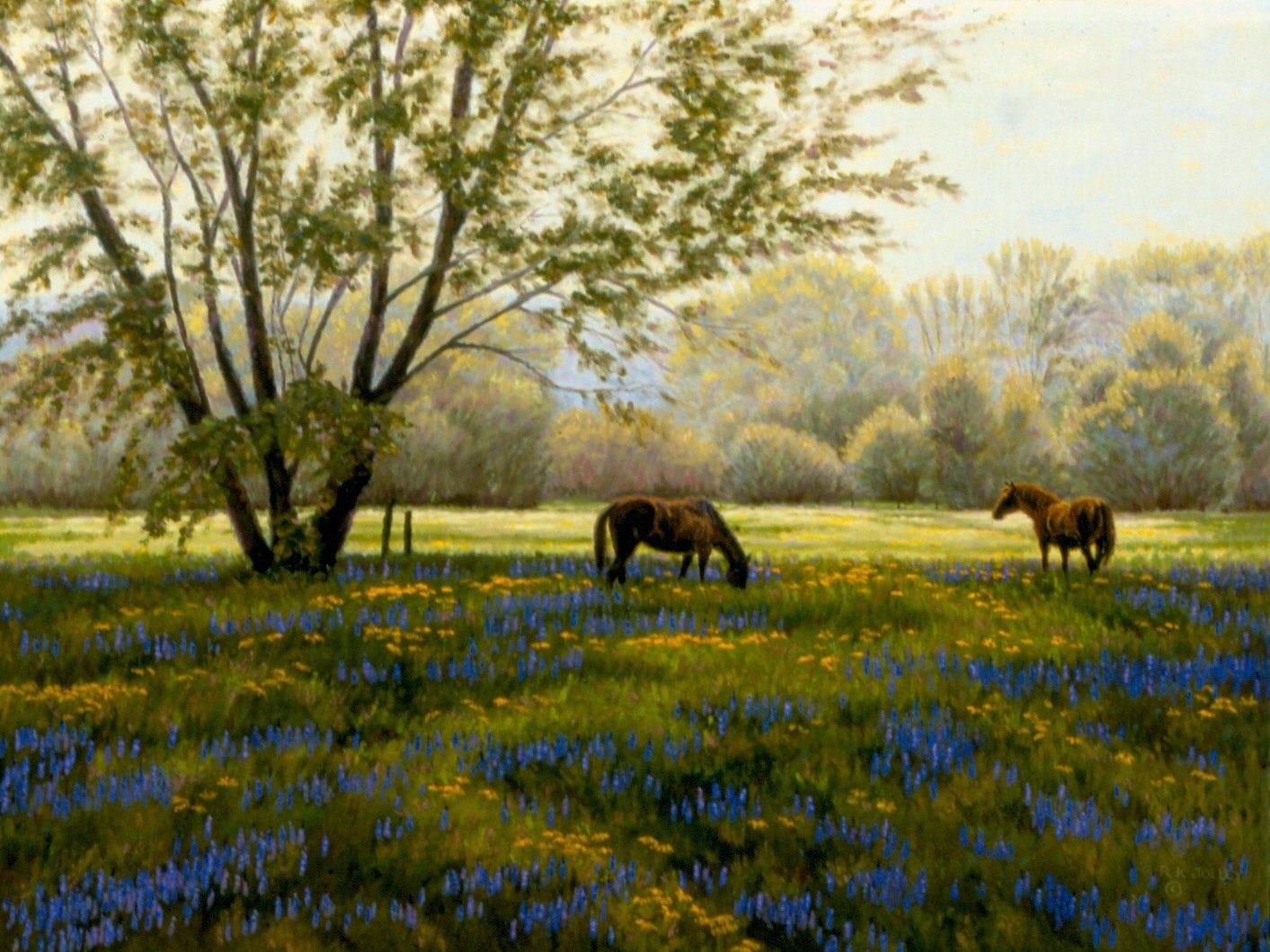 Spring Meadow