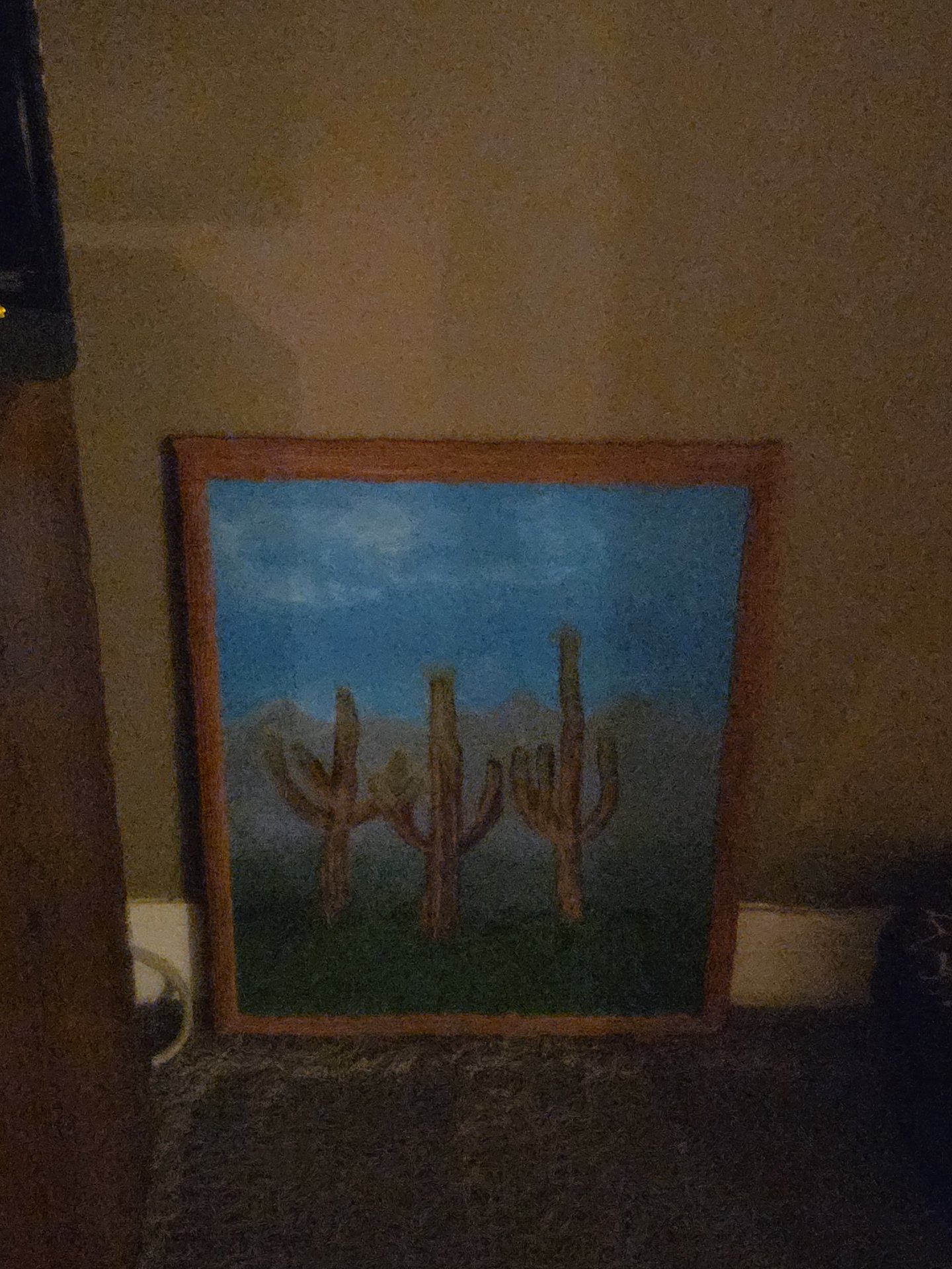 After a Desert Rain