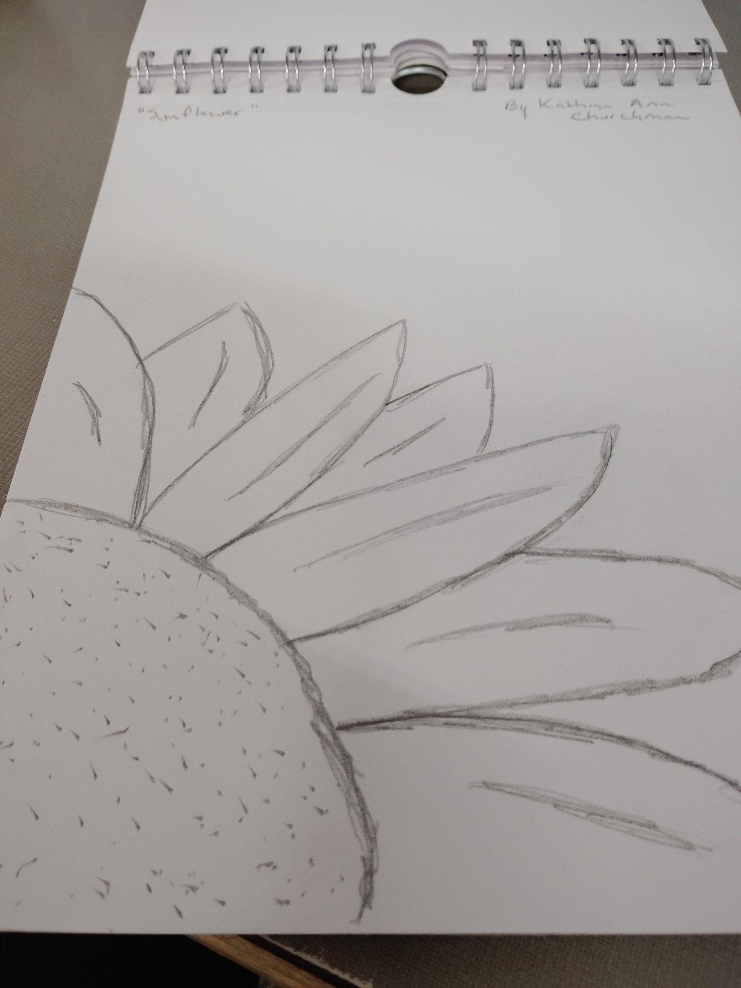 Sunflower