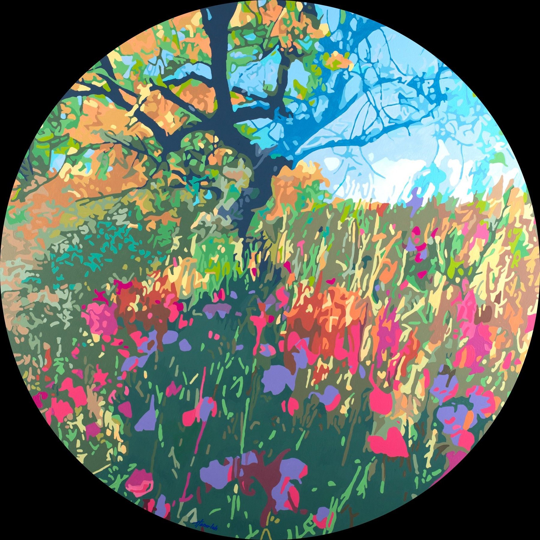 Hillside Blooms